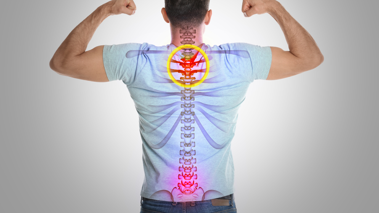 Exercises to Improve Spine Health and Prevent Back Pain