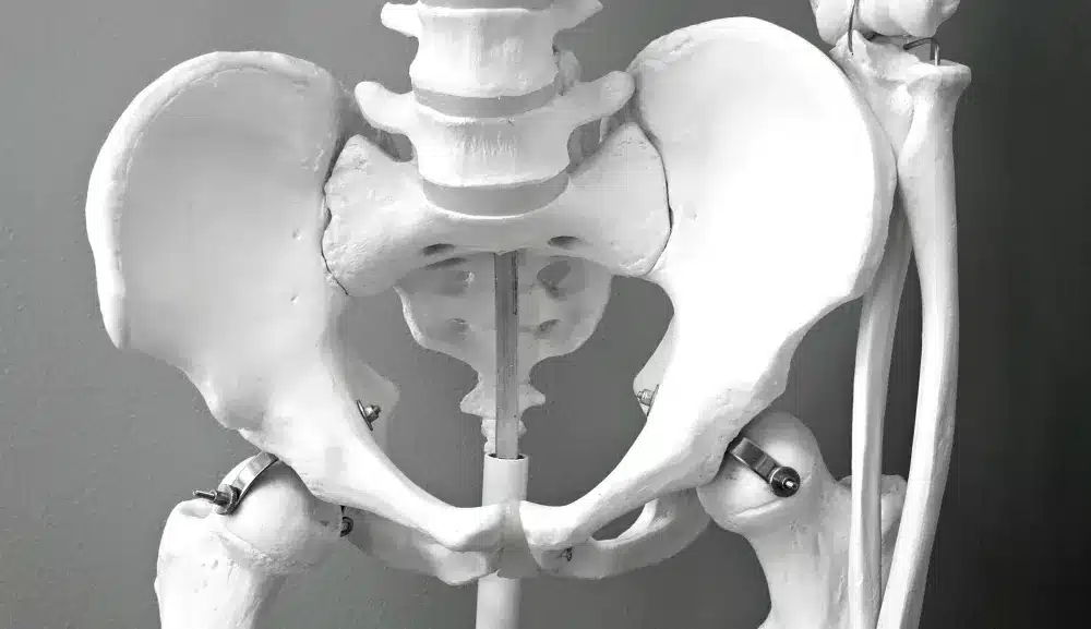 SI Joint Injection in Grand Prairie, TX | Non-Surgical Options 1 Medical illustration showing sacroiliac joint location and surrounding pelvic anatomy