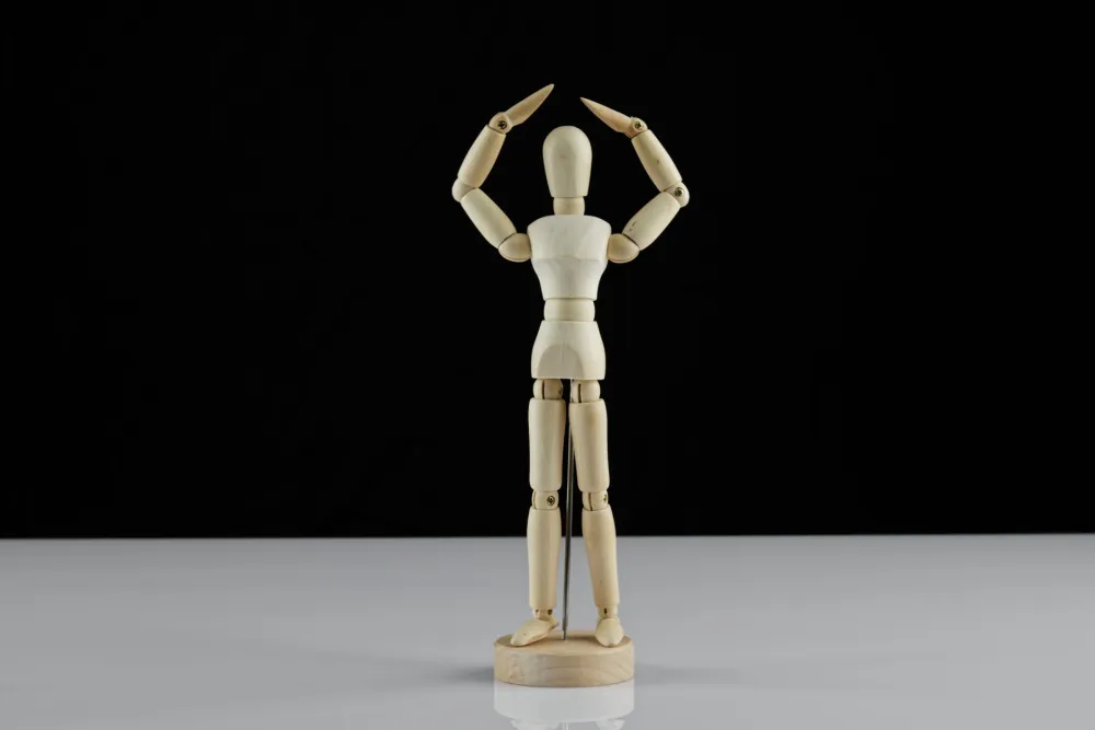 Anatomical spine model showing lumbar facet joints commonly treated with radiofrequency ablation